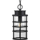 Port Royal One Light Hanging Lantern (P550061-031)