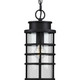 Port Royal One Light Hanging Lantern (P550061-031)