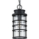Port Royal One Light Hanging Lantern (P550061-031)