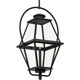 Progress Lighting - P550138-031 - One Light Outdoor Hanging Lantern - Bradshaw - Black