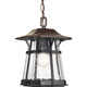 Progress Lighting - P5579-84 - One Light Hanging Lantern - Derby - Espresso