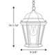 Welbourne One Light Hanging Lantern (P5582-31)