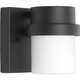 Z-1060 LED LED Wall Lantern (P560072-031-30)