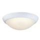 Westinghouse Lighting - 6137300 - LED Flush Mount - Redbank - White