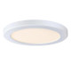 Westinghouse Lighting - 6137900 - LED Flush Mount - White