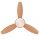 Alloy 42" Ceiling Fan (7221600)