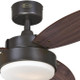 Alloy 42" Ceiling Fan (7222500)