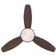 Alloy 42" Ceiling Fan (7222500)