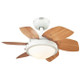 Quince 24"Ceiling Fan (7224700)
