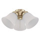 Westinghouse Lighting - 7784500 - LED Ceiling Fan Light Kit - Polished Brass