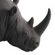 Etosha Bookends, Set of 2 (ATC11)