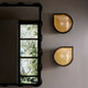 Aureline LED Wall Sconce (DWC100)