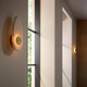 Ravelle LED Wall Sconce (DWC99)