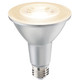Bulbrite - 772779 - Light Bulb - 7