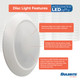 10" Disc Light (773277)