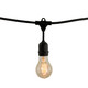 Bulbrite - 810004 - String Light - String - Black