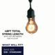 String String Light (810004)
