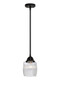 Innovations - 288-1S-BK-G302-LED - LED Mini Pendant - Nouveau 2 - Matte Black
