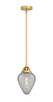 Innovations - 288-1S-SG-G165 - One Light Mini Pendant - Nouveau 2 - Satin Gold