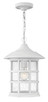Hinkley - 1802CW - LED Hanging Lantern - Freeport - Classic White