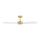 manufacturer_finish:Burnished Brass/Matte White ABS
