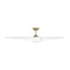 manufacturer_finish:Burnished Brass/Matte White ABS