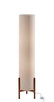 Adesso Home - 3011-15 - Two Light Floor Lamp - Sonora - Walnut
