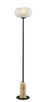 Adesso Home - 3149-01 - Floor Lamp - Byron - Black