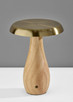 Naya LED Table Lamp (3196-12)
