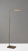 Reader LED Floor Lamp (3558-21)