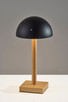 Nash LED Table Lamp (4065-01)