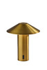 Adesso Home - AD9205-21 - LED Table Lamp - Pina - Antique Brass