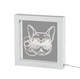 Adesso Home - SL3726-02 - LED Light Box - Light Box - White
