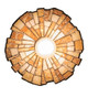 Delta One Light Wall Sconce (261492)