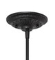Begonia One Light Pendant (286524)