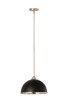 Landry One Light Pendant (1004P14-MB-BN)