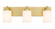Soledad Three Light Vanity (485-3V-BG)