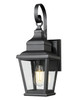 Z-Lite - 5029S-BK - One Light Outdoor Wall Mount - Raphael - Sand Black