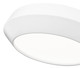 Quasars LED Flush Mount (7701F12-MW-LED)