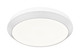 Quasars LED Flush Mount (7701F20-MW-LED)
