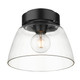 Remy One Light Flush Mount (0314-FM10 BLK-CLR)