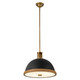 manufacturer_finish:Matte Black/Vintage Brass