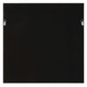 Tiger Sea Urchin Shadow Box (03501)