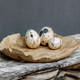 Nest Trio Stone Eggs Set/3 (18330)