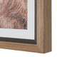 Big Horn Framed Print (32546)