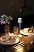 Poldina LED Table Lamp (LD0490B3)