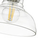 Carver One Light Mini Pendant (0305-S CH-CLR)
