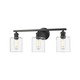 Fisher Three Light Bath Vanity (0306-BA3 BLK-CLR)