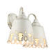 Eloise Two Light Vanity (0883-BA2 AI)