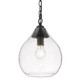 Ariella One Light Pendant (1094-S BLK-HCG)